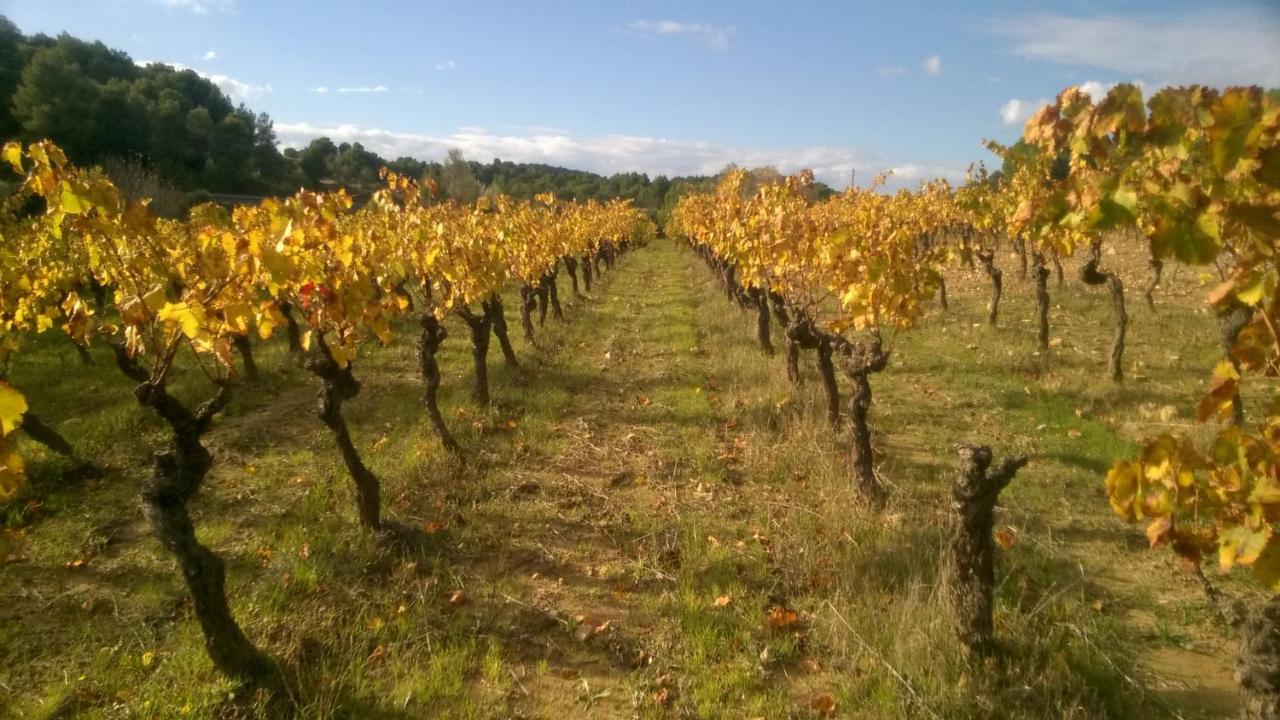 Domaine D'Azeou Guest House Laure-Minervois Luaran gambar