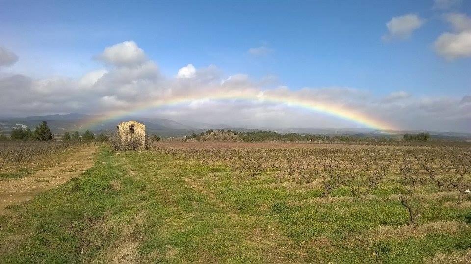 Domaine D'Azeou Guest House Laure-Minervois Luaran gambar